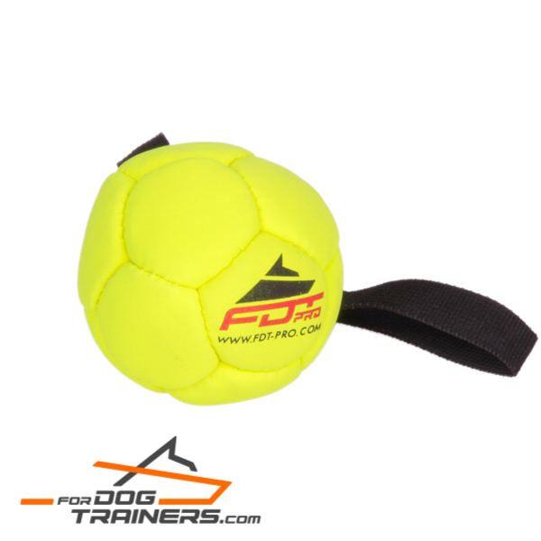 Yellow dog ball for fun