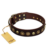 "Street Fashion" FDT Artisan Brown Leather Black Russian Terrier Collar Adorned with Circles and Skulls