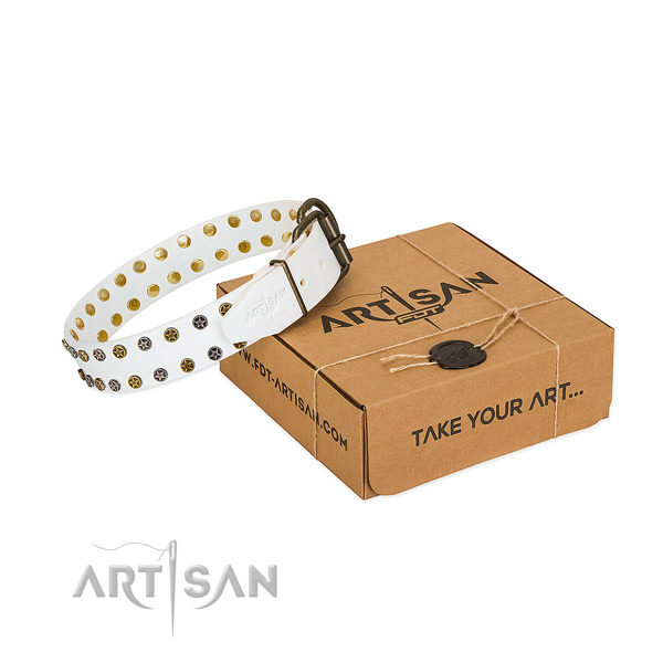 Exceptional natural leather dog collar with durable studs