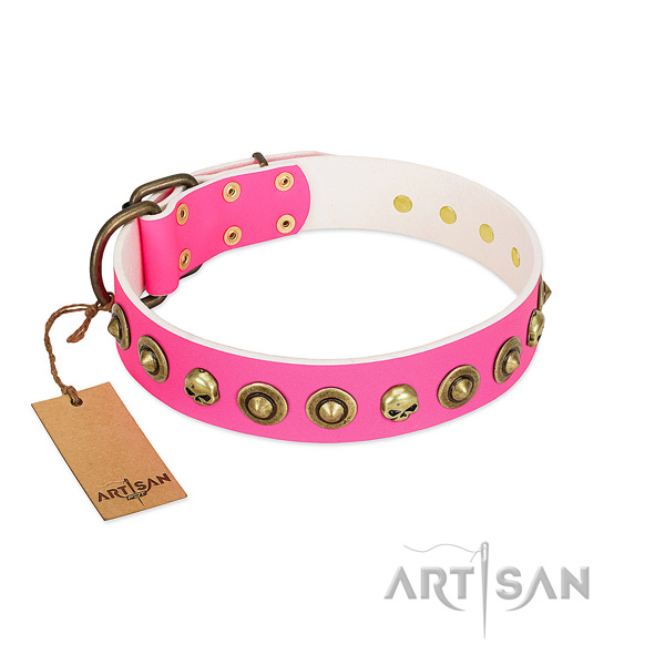 Amazing genuine leather dog collar with corrosion proof embellishments