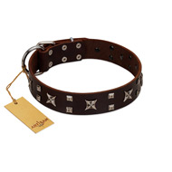 "Bigwig Woof" FDT Artisan Brown Leather Black Russian Terrier Collar with Chrome Plated Stars and Square Studs