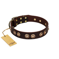 "Woofy Art" FDT Artisan Brown Leather Black Russian Terrier Collar Adorned with Old Bronze-like Studs