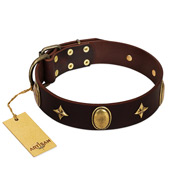 "Victory and Laurels" FDT Artisan Brown Leather Black Russian Terrier Collar with Ovals and Stars
