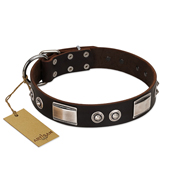 "Baller Status" FDT Artisan Brown Leather Black Russian Terrier Collar Adorned with a Set of Chrome Plated Studs and Plates