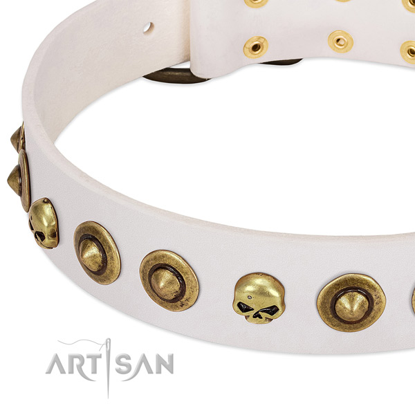 Impressive embellishments on leather collar for your canine