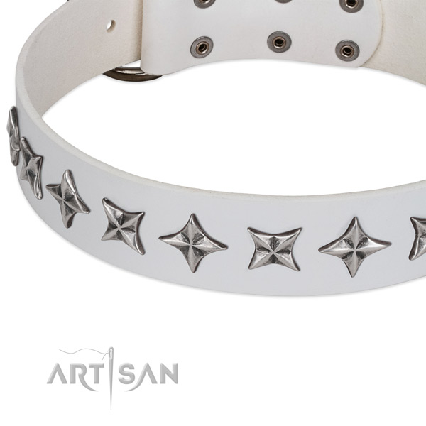 Walking decorated dog collar of fine quality full grain genuine leather