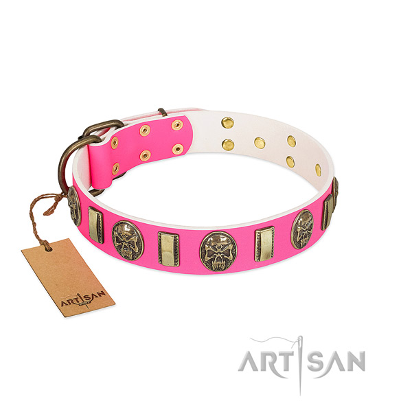 Durable D-ring on genuine leather dog collar for your pet