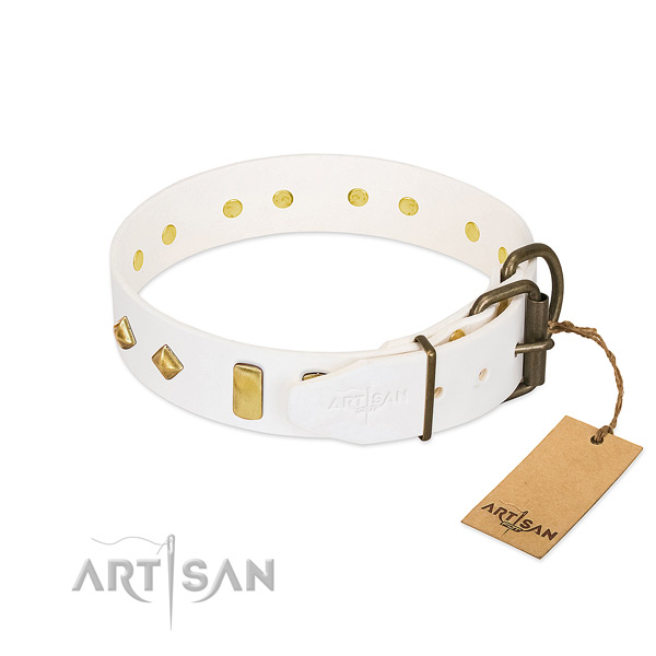 Quality leather dog collar with durable hardware