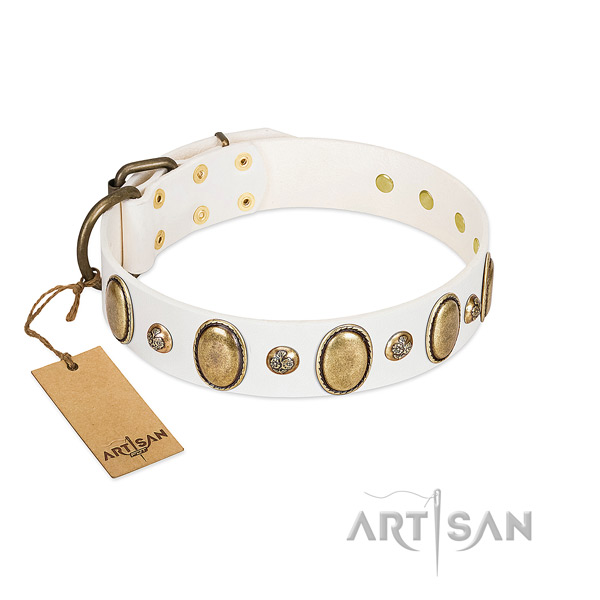 Full grain leather dog collar of top notch material with trendy adornments