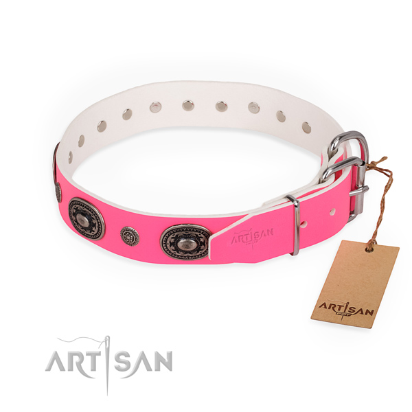 Stylish walking exceptional dog collar with corrosion proof hardware