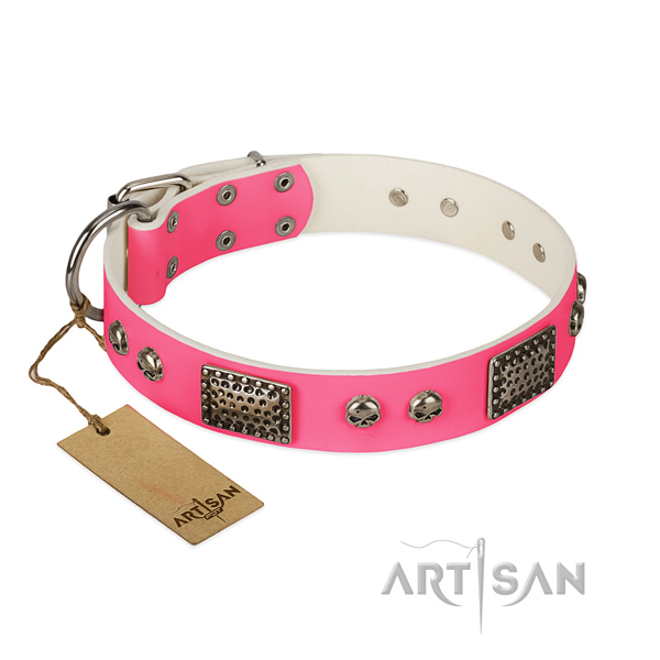 Easy adjustable leather dog collar for daily walking your doggie