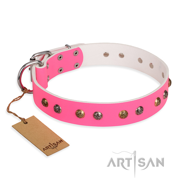 Everyday use trendy dog collar with durable traditional buckle
