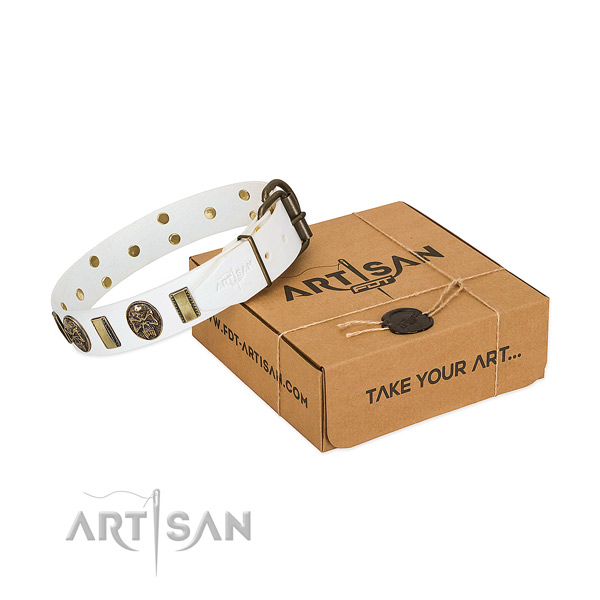 Strong hardware on leather dog collar for easy wearing
