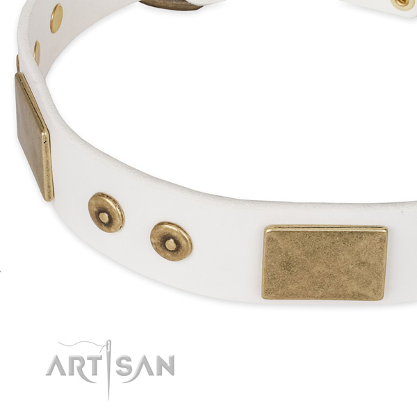 Reliable studs on genuine leather dog collar for your dog