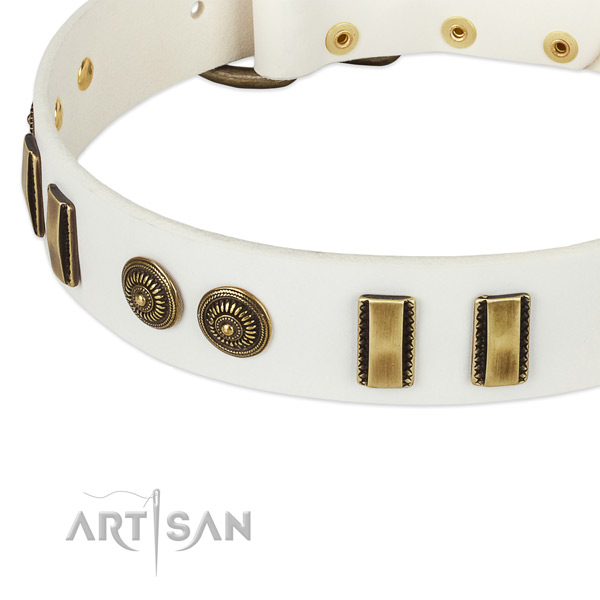 Corrosion resistant studs on full grain natural leather dog collar for your four-legged friend