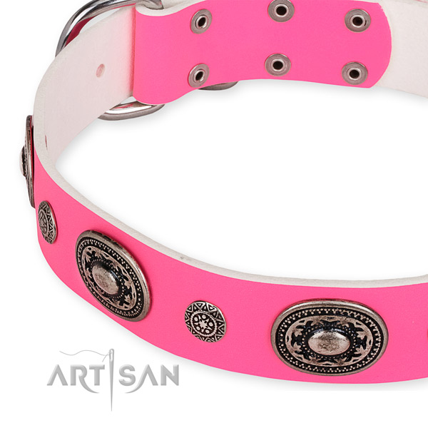 Quality genuine leather dog collar created for your beautiful pet