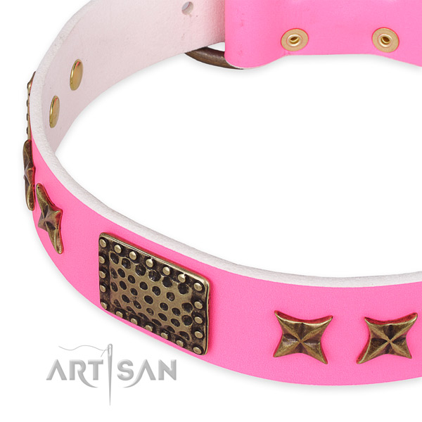 Full grain leather collar with rust-proof traditional buckle for your handsome four-legged friend