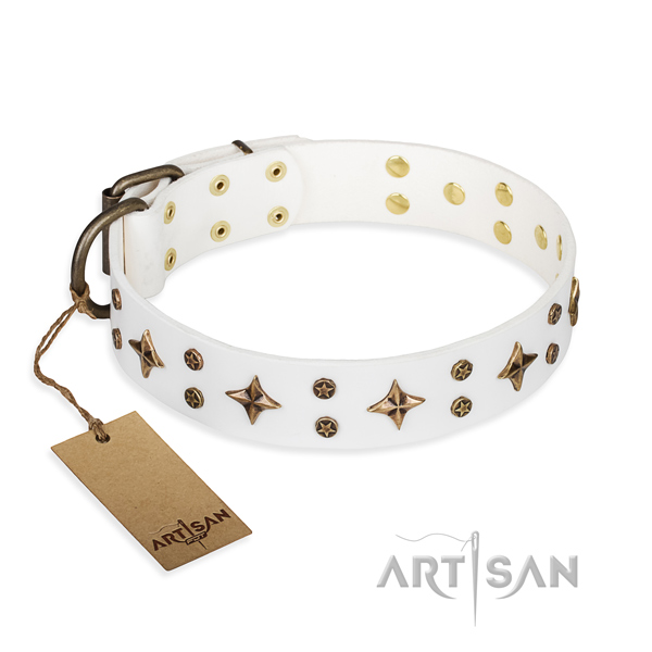 Fancy walking dog collar of best quality natural leather with decorations