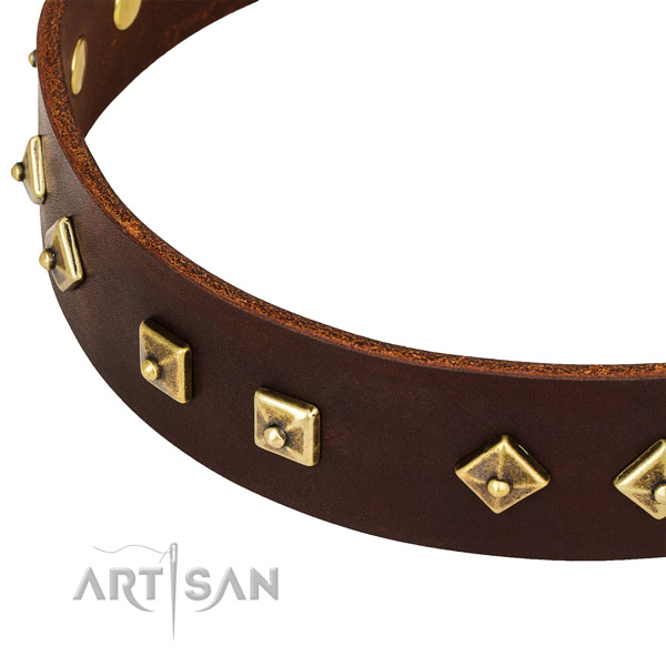 Easy to adjust leather collar for your attractive dog