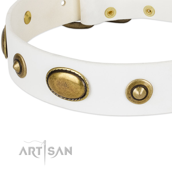 Corrosion proof fittings on natural leather dog collar for your doggie