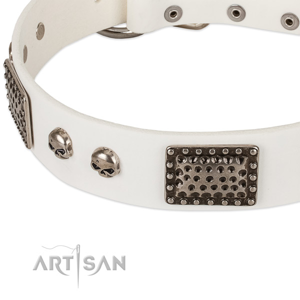 Corrosion resistant decorations on full grain leather dog collar for your canine