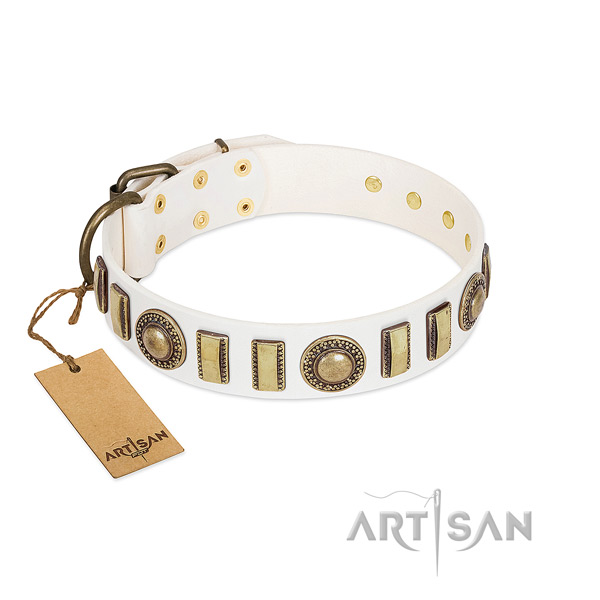 Incredible leather dog collar with durable hardware