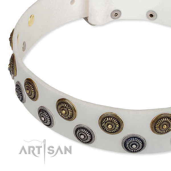 Comfy wearing embellished dog collar of quality full grain genuine leather