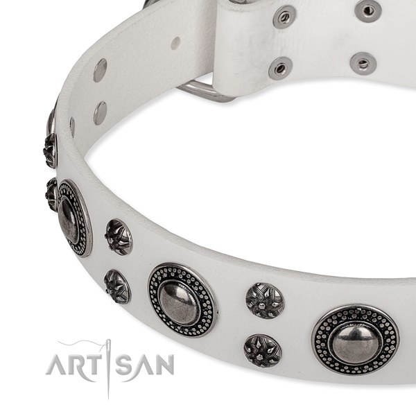 Comfortable wearing embellished dog collar of quality full grain natural leather