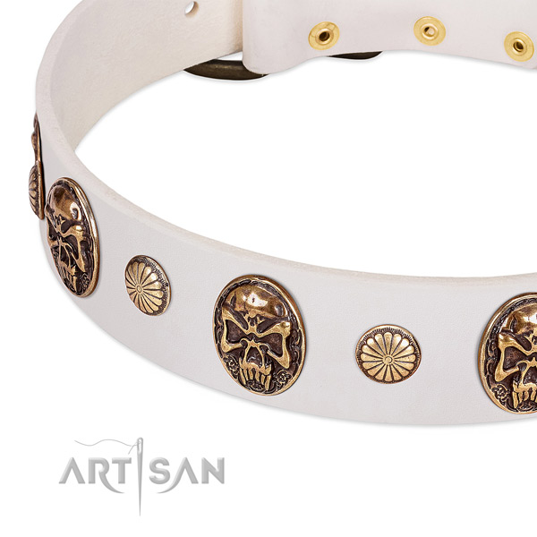 Strong embellishments on full grain natural leather dog collar for your dog