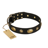 "Eye-Catcher" FDT Artisan Black Leather Black Russian Terrier Collar for Walking in Style