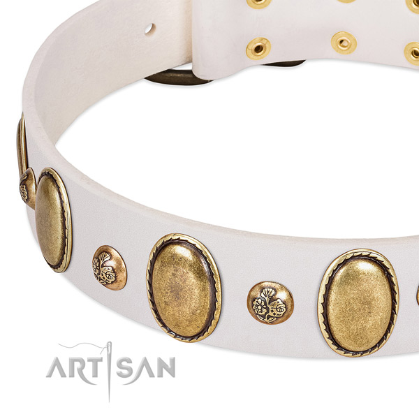Full grain leather dog collar with fashionable embellishments