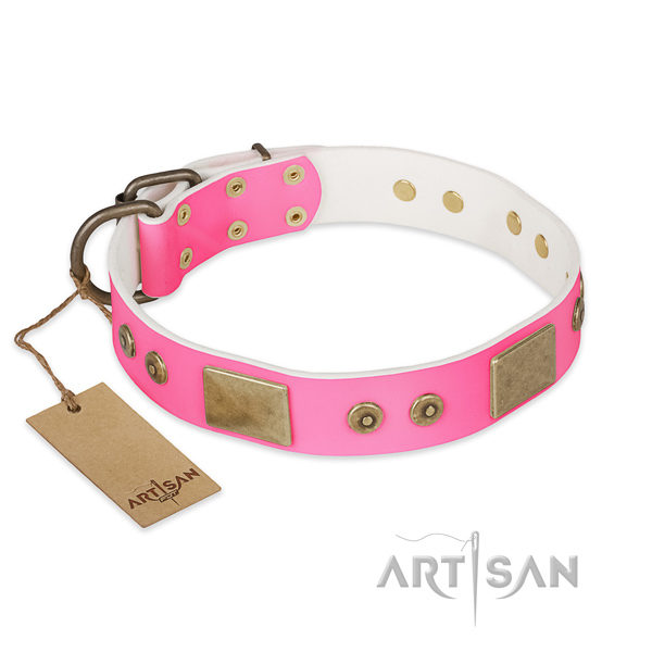 Easy wearing full grain natural leather dog collar for stylish walking your canine