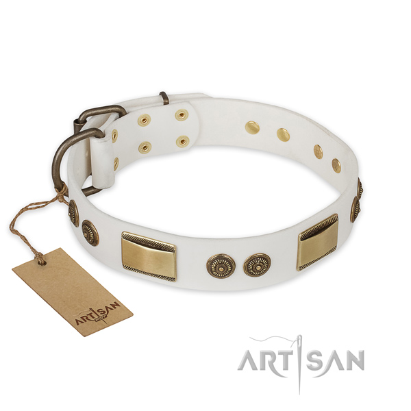 Convenient leather dog collar for daily walking
