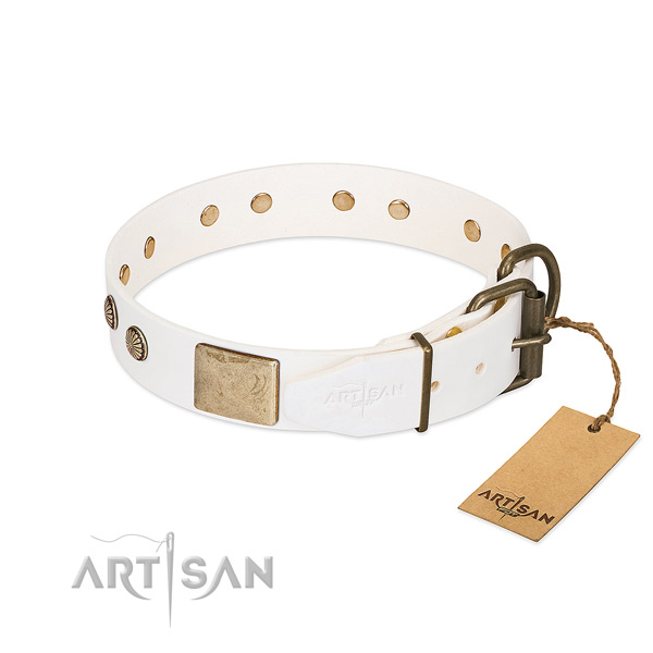 Reliable hardware on basic training dog collar
