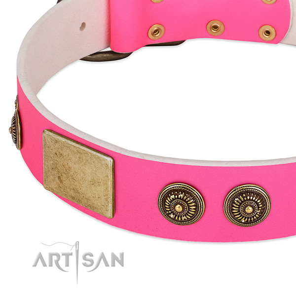 Impressive dog collar made for your stylish four-legged friend