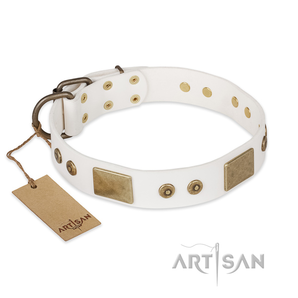 Top quality full grain genuine leather dog collar for handy use