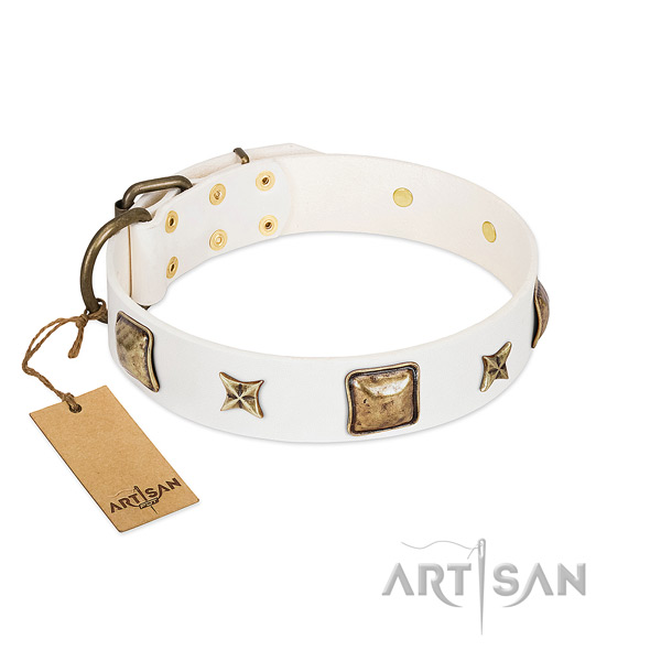 Trendy natural genuine leather dog collar for daily walking