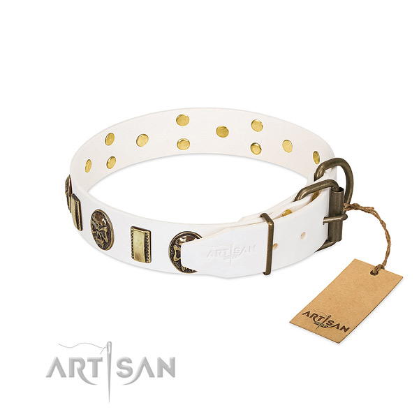 Strong buckle on leather collar for basic training your doggie