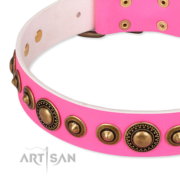 High quality full grain natural leather dog collar created for your lovely pet