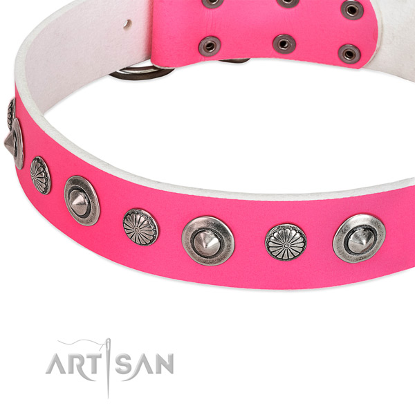Full grain leather collar with durable traditional buckle for your lovely canine