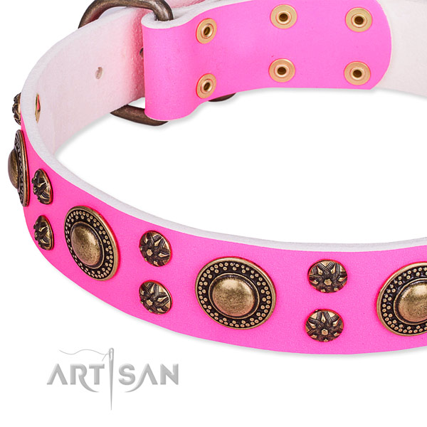 Walking decorated dog collar of top notch full grain genuine leather