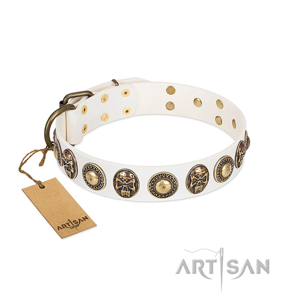 Adjustable full grain leather dog collar for daily walking your four-legged friend