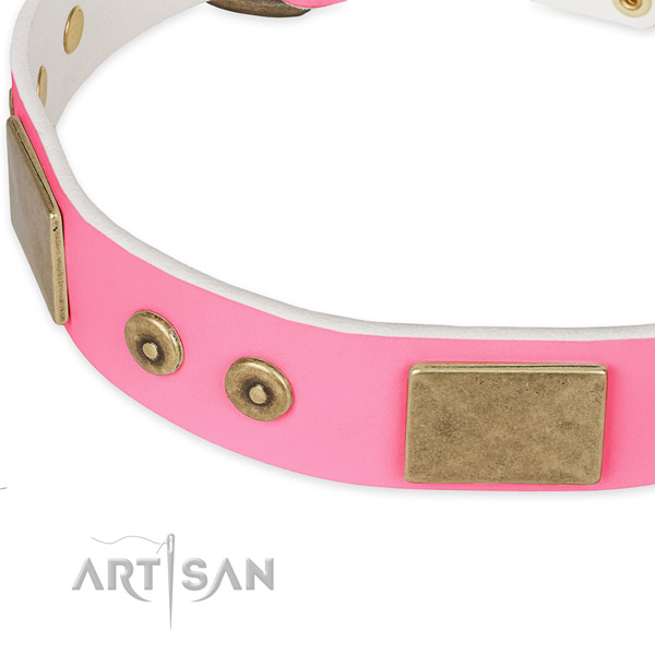 Leather dog collar with embellishments for everyday walking