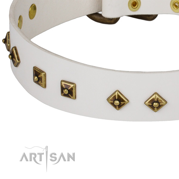 Stylish leather collar for your beautiful dog