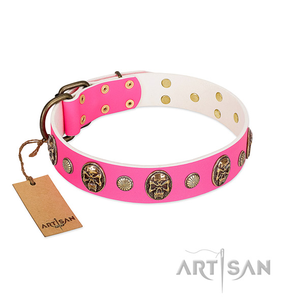 Corrosion resistant traditional buckle on leather dog collar for your doggie