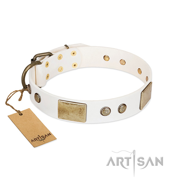 Easy adjustable leather dog collar for stylish walking your dog