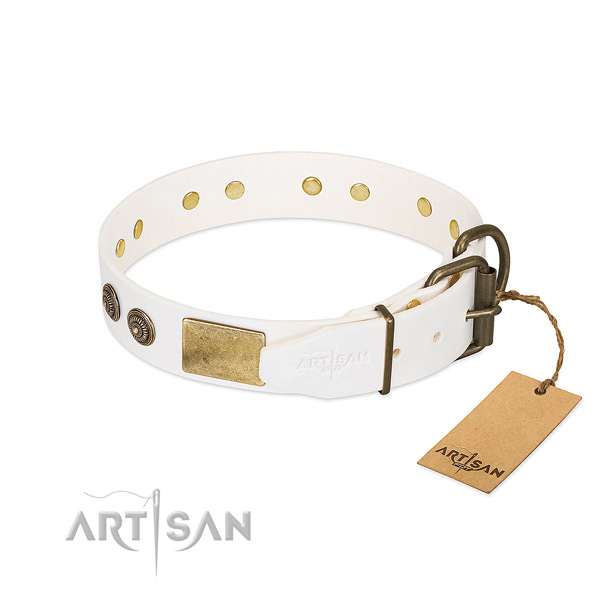 Corrosion resistant traditional buckle on full grain genuine leather collar for everyday walking your doggie