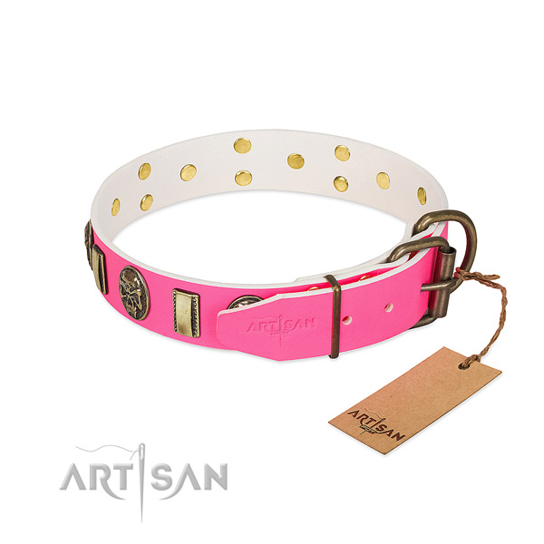 Rust-proof adornments on full grain natural leather dog collar for your doggie