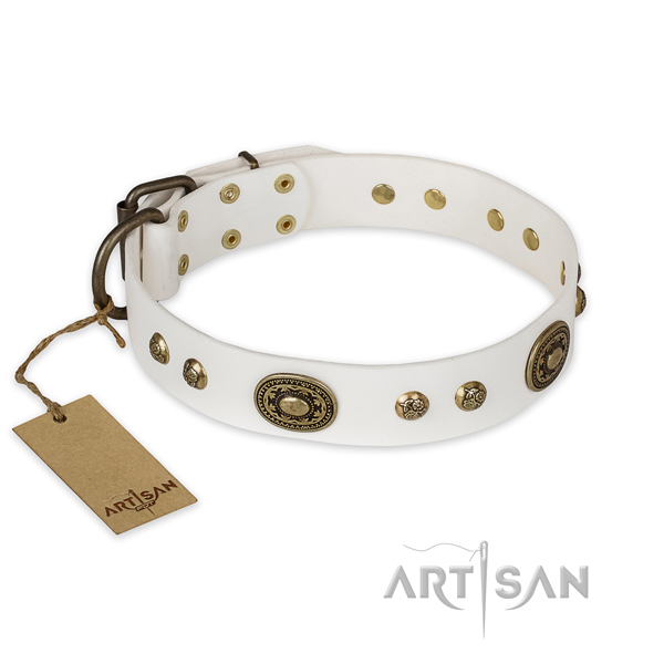 Unique full grain leather dog collar for stylish walking
