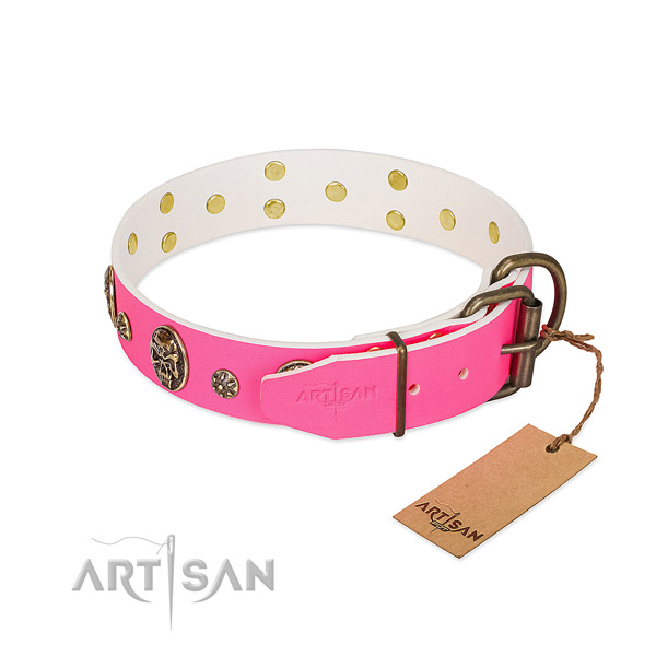 Reliable hardware on natural leather collar for basic training your canine